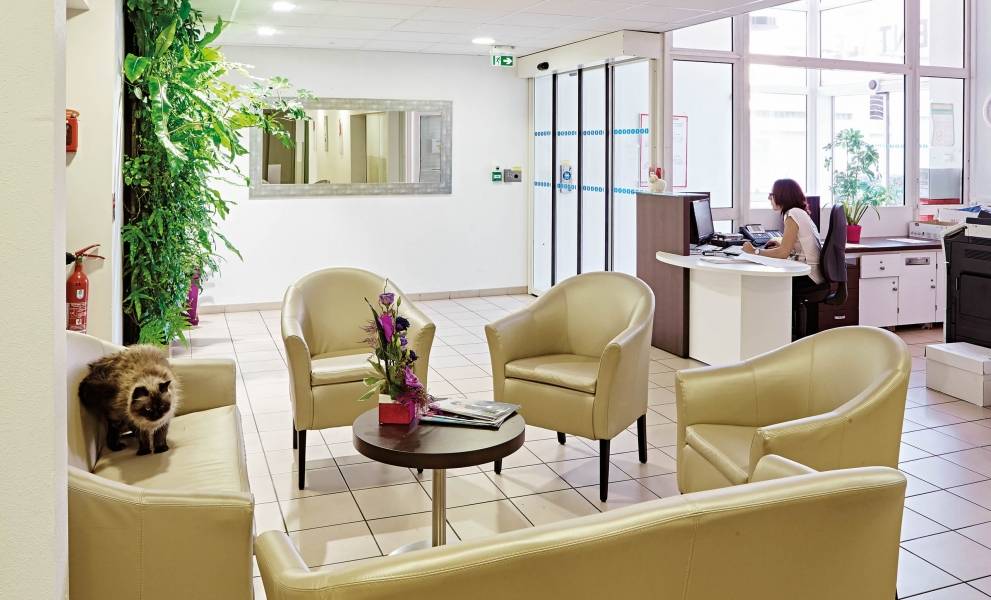 👍 EHPAD ANRAS SainteMonique Toulouse Mazette