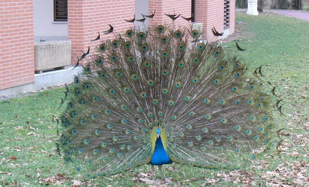 photo de EHPAD Domaine de la Cadene Toulouse