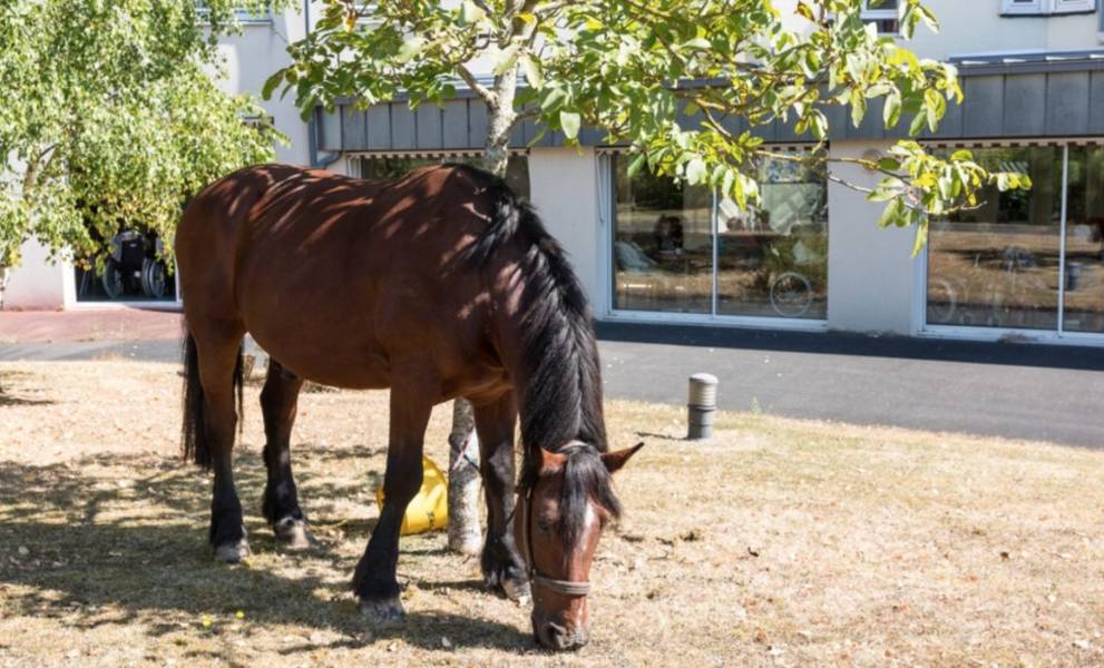 photo de EHPAD Madeleine Lamy Cormelles-le-Royal