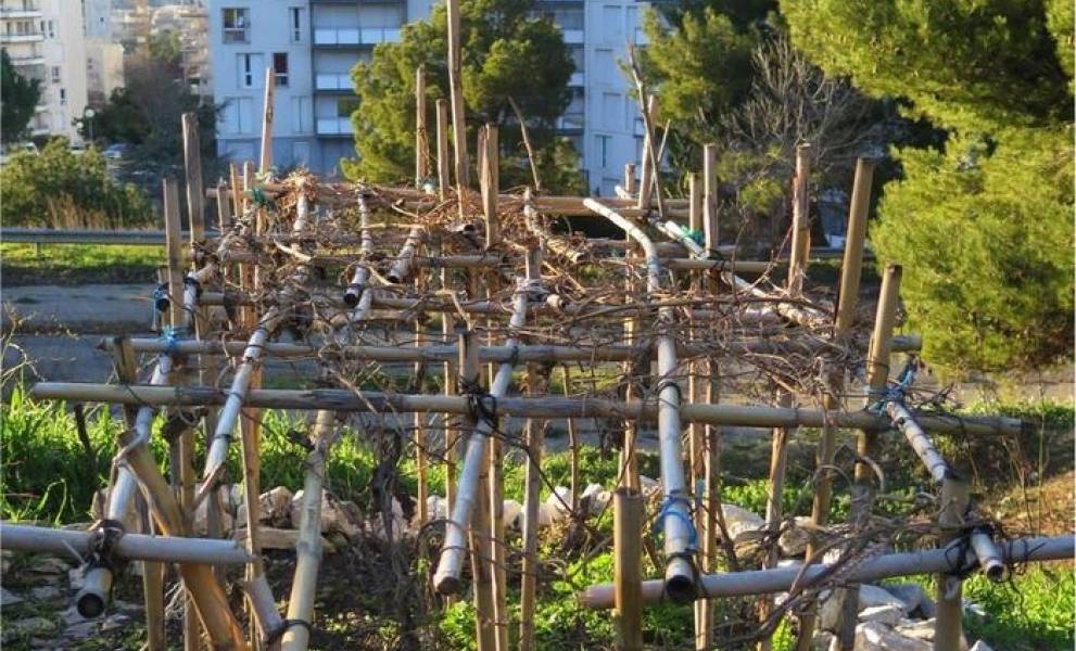 👍 RA Les Jardins de Mirabeau  Les PennesMirabeau  Mazette