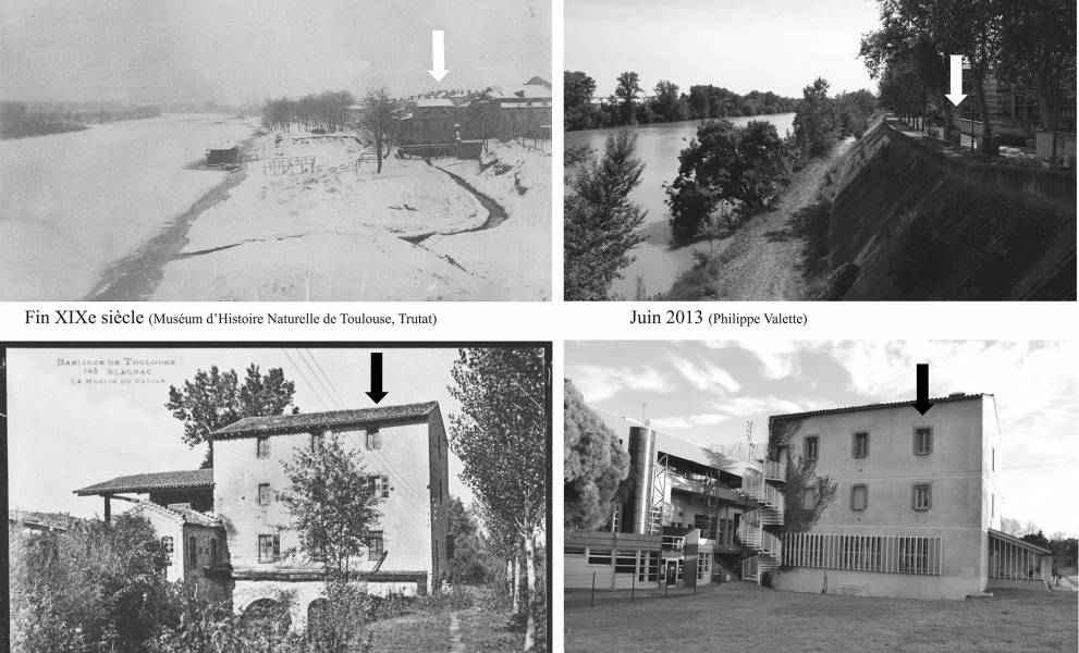 Usld Centre Hospitalier Hopital Garonne Universitaire Toulouse Mazette