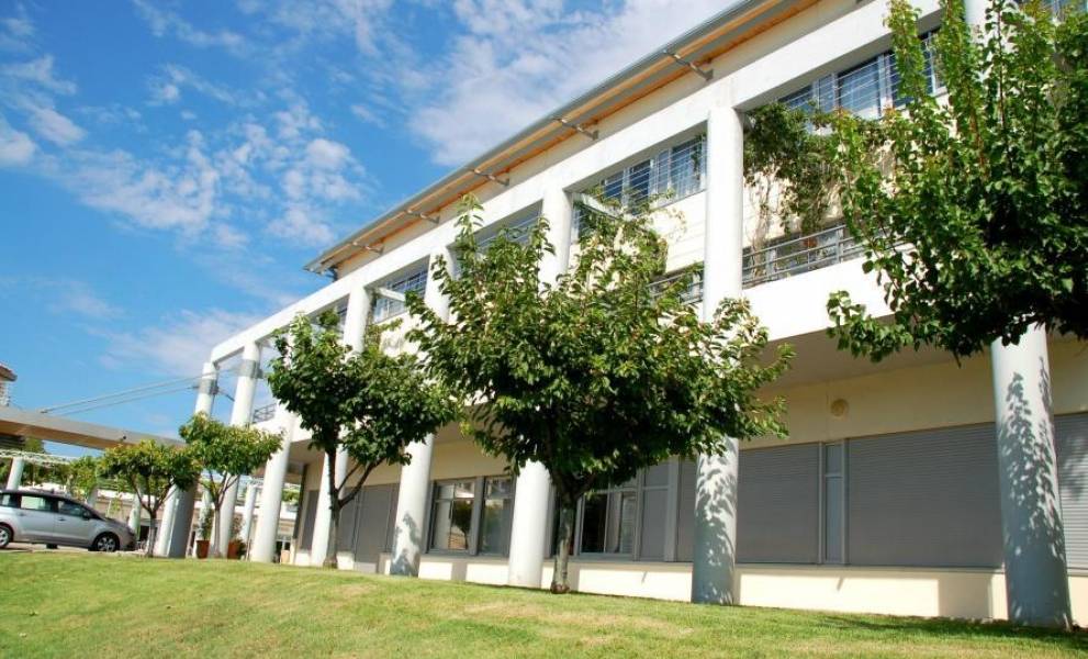 usld hopitaux des portes de camargues tarascon mazette