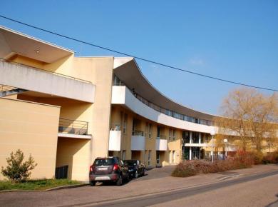 Les cèdres Les cèdres