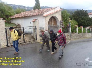 Le Cosor Le Cosor
