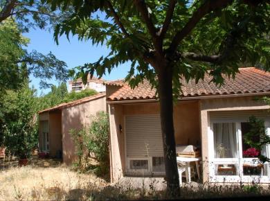 Les pins Les pins