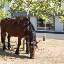 photo de EHPAD Madeleine Lamy Cormelles-le-Royal