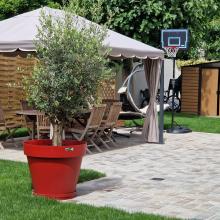 photo de Résidence Autonomie Vivre ADOM Villa Plaisance Clamart