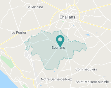 Les Châtaigniers Soullans