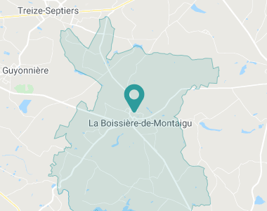 Oxalis La Boissière-de-Montaigu