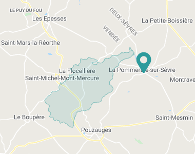 Les Nénuphars La Flocellière