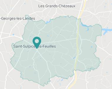 Cèdre Saint-Sulpice-les-Feuilles