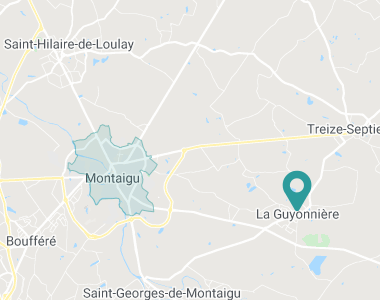 La Maisonnee Montaigu