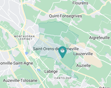 Le Clos des Orangers Saint-Orens-de-Gameville