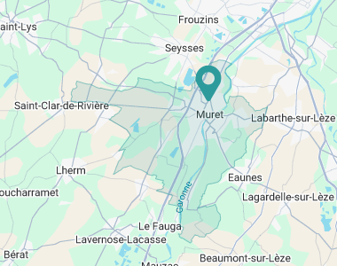 Les Aviateurs Muret