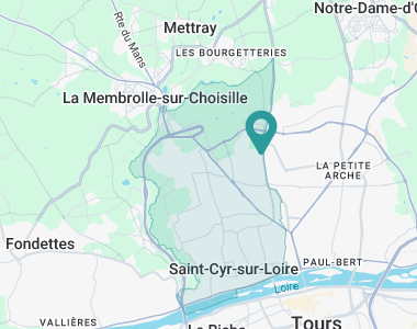 Le Prunellier Saint-Cyr-sur-Loire