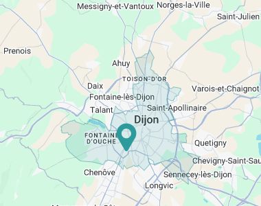  Dijon