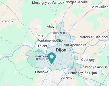  Dijon