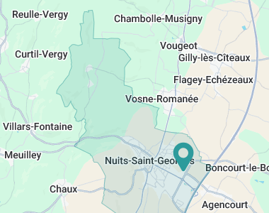 VILL'AGE BLEU NUITS ST GEORGES Nuits-Saint-Georges