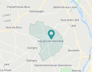 Haut-Berry Val-de-Loire Savigny-en-Sancerre