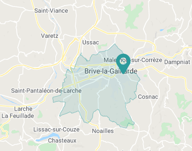 Les genêts Brive-la-Gaillarde