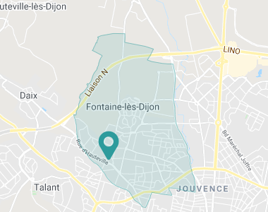 Les Nymphéas Fontaine-lès-Dijon