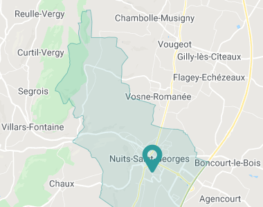 Nuits-Saint-Georges