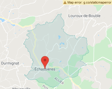  Échassières