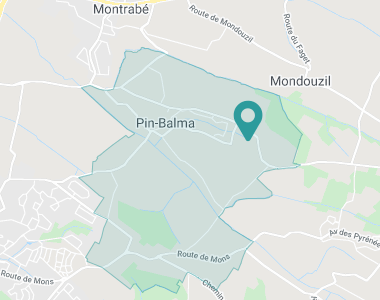 Pin-Balma