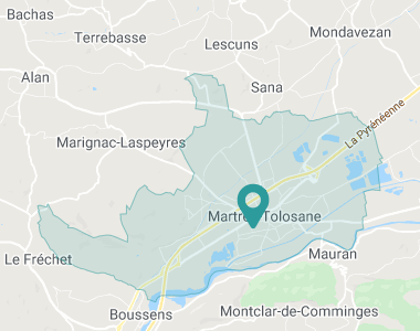 Saint-Vidian Martres-Tolosane