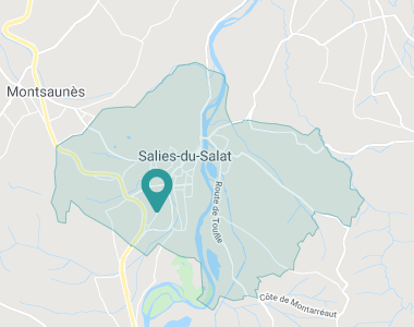 Salies-du-Salat