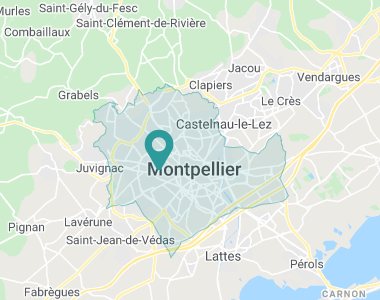 Les Violettes Montpellier