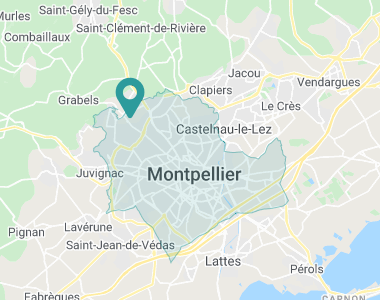 Mont d'Aurelle Montpellier