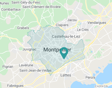 Les Sarments Blonds Montpellier
