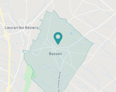 Bassan