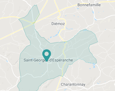 Les pervenches Saint-Georges-d'Espéranche
