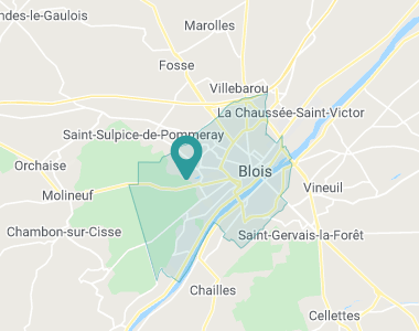 Pinconnière Blois