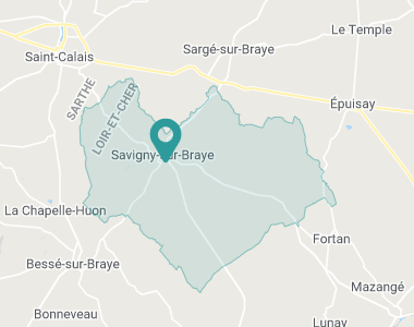 Savigny Savigny-sur-Braye