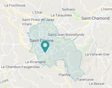 Les camélias Saint-Étienne