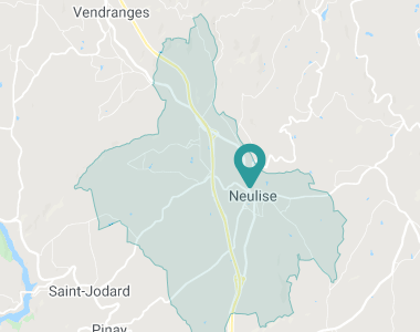 Neulise