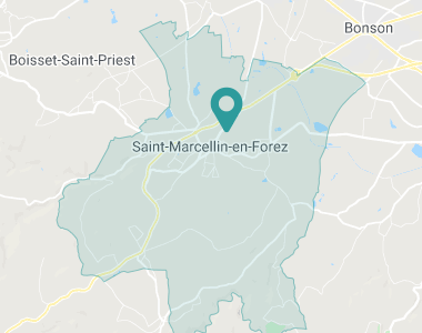 Les Bleuets Saint-Marcellin-en-Forez
