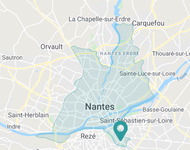 Hirondelle de Sèvre Nantes
