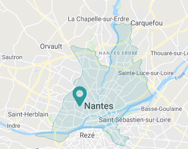 Ginkgo Biloba Nantes