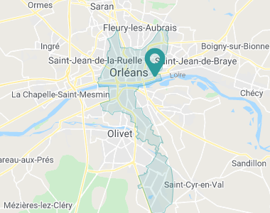 Les Bords de Loire Orléans