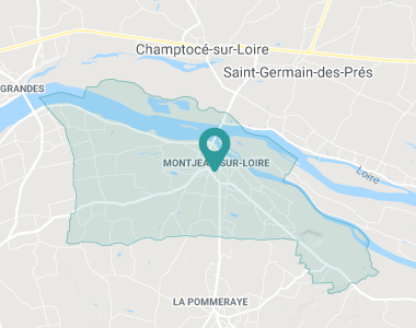L'amandier Montjean-sur-Loire