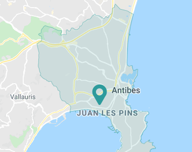 Les Strélitzias Antibes