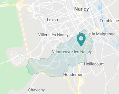 Les jonquilles Vandoeuvre-lès-Nancy