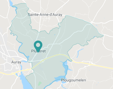 Pluneret