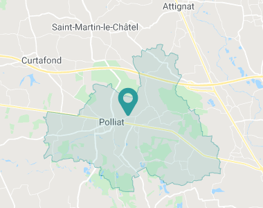 Polliat