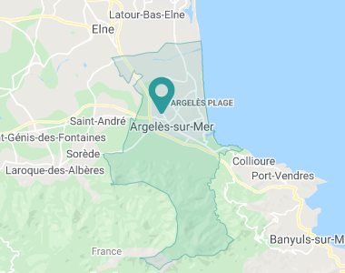Le Grand platane Argelès-sur-Mer