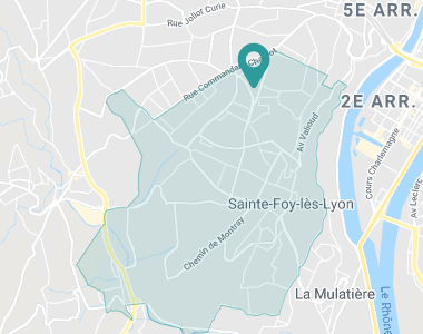 Les Nénuphars Sainte-Foy-lès-Lyon